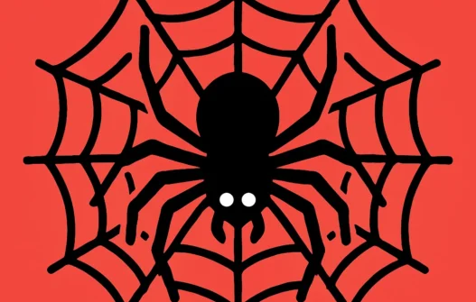 Spider category image