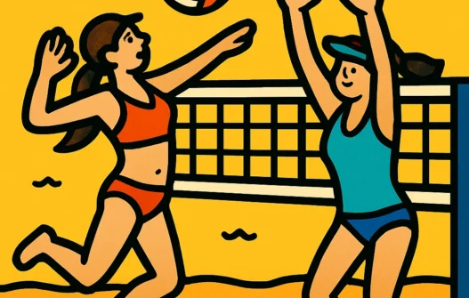 Volleyball category image