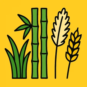 Grasses & Bamboo