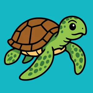 Turtle & Tortoise