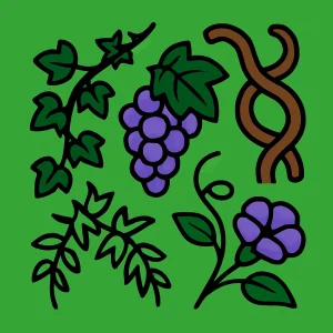 Vines & Creepers